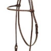 Tory Leather Rolled Brow Headstall - Arabian -Classic Equine Shop 486h 89273 99762.1580847896