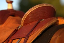 Circle Y Barton Select Rancher Saddle -Classic Equine Shop Barton Ranch Rear Skirting 15051.1600205555