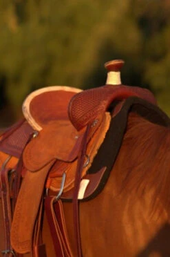 Circle Y Barton Select Rancher Saddle -Classic Equine Shop Barton Ranch Right 36019.1600205566