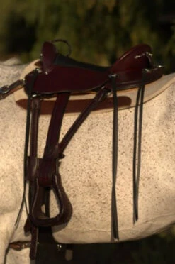 Circle Y Julie Goodnight Cascade Crossover Trail Saddle 1753 -Classic Equine Shop Cascade Left Side 39422.1600203383