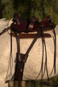 Circle Y Julie Goodnight Cascade Crossover Trail Saddle 1753 -Classic Equine Shop Cascade Rigging 00780.1600203389