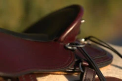 Circle Y Julie Goodnight Cascade Crossover Trail Saddle 1753 -Classic Equine Shop Cascade Skirt 05106.1600203438