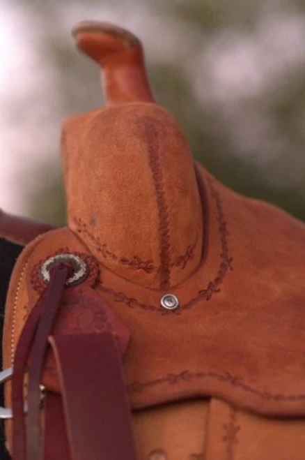 Circle Y Comal All Around Saddle 3 Circle Y Comal All Around Saddle