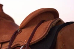 Circle Y Comal All Around Saddle 9 Circle Y Comal All Around Saddle -Classic Equine Shop Comal All Around Skirt 42444.1600205963