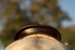 High Horse Daisetta Cordura Trail Saddle By Circle Y -Classic Equine Shop Daisetta Cantle Rear 57003.1600204651