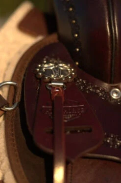 High Horse Daisetta Cordura Trail Saddle By Circle Y -Classic Equine Shop Daisetta Concho 80022.1600204641