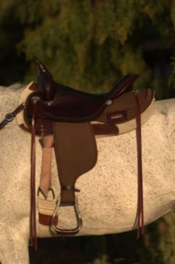 High Horse Daisetta Cordura Trail Saddle By Circle Y -Classic Equine Shop Daisetta Left 05467.1600204671