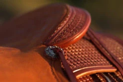 Circle Y Dodge Ranch Sorter Saddle -Classic Equine Shop Dodge Ranch Sorter Concho 72552.1600205719