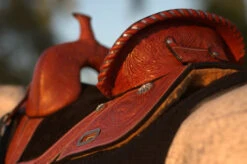 Circle Y Fischer Daisy Treeless Barrel Saddle -Classic Equine Shop Fischer Treeless Rear Seat 85806.1600204907
