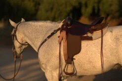 High Horse Highbank Endurance Saddle By Circle Y -Classic Equine Shop HH Highback Left Profile on a horse 30277.1600209479