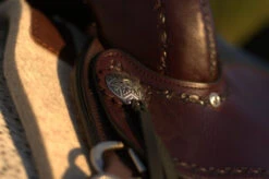 Classic Equine Shop 20 Classic Equine Shop -Classic Equine Shop Salt River Concho 72323.1600203795