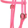 Berlin Beta Biothane Browband Headstall -Classic Equine Shop apizavu2g 63387 56161.1527297811