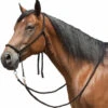 Tory Leather Bitless Poly Bridle With Reins -Classic Equine Shop bitless bridle 1 34998 30178.1527298889