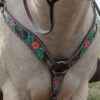 Circle Y Cactus Flower Breast Collar -Classic Equine Shop cactus flower breast collar horse 1000 23 SC circle y 73083.1613591811