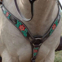 Circle Y Cactus Flower Breast Collar