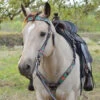 Circle Y Cactus Flower Brow Headstall -Classic Equine Shop cactus flower tack set circle y 81365.1613592808