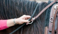 BOOMA Rein Safety Rein -Classic Equine Shop carabineroring 36921 23822.1527296832