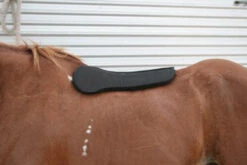 Circle Y Long Shoulder Bridge Pad 3/4" Or 1" -Classic Equine Shop circle y long shoulder bridge pad 3 4 or 1 3 95277.1530647799