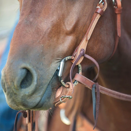 Classic Equine Twisted Wire Snaffle D-Ring 4 Classic Equine Twisted Wire Snaffle D-Ring - Image 2