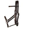 Tucker Horizon Series Halter Bridle -Classic Equine Shop horizon halter bridle brown 0111 1212 tucker 51436.1569281128