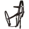 Tucker Halter Bridle Lite 2 Tucker Halter Bridle Lite -Classic Equine Shop lite halter bridle black chrome 0109 0102 tucker 64799.1671830939