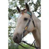 Circle Y Rising Sunflower Brow Headstall -Classic Equine Shop rising sunflower brow hs brown multicolor lifestyle 1002 10 SC circle y 38157.1613178603