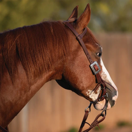 Weaver Leather Weaver Southwest Square One Ear Headstall 4 Weaver Leather Weaver Southwest Square One Ear Headstall - Image 2