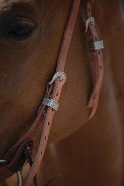 Classic Equine Shop 3 Classic Equine Shop -Classic Equine Shop synergy latigo lined brow headstall buckles 10056100002 weaver 47655.1669081104