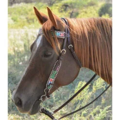 Circle Y Vibrant Garden Brow Headstall